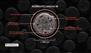 Aggregates%202_edited.png