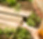Close-up portrait of a young woman holding snails, taking care of them in the farm for sna