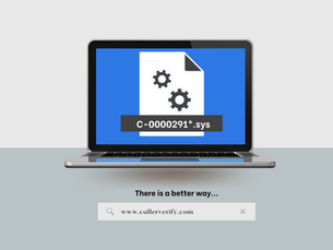 Beyond Passwords: Verifying Callers Amidst the CrowdStrike Crisis