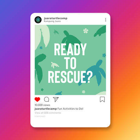 social media mockup.jpg