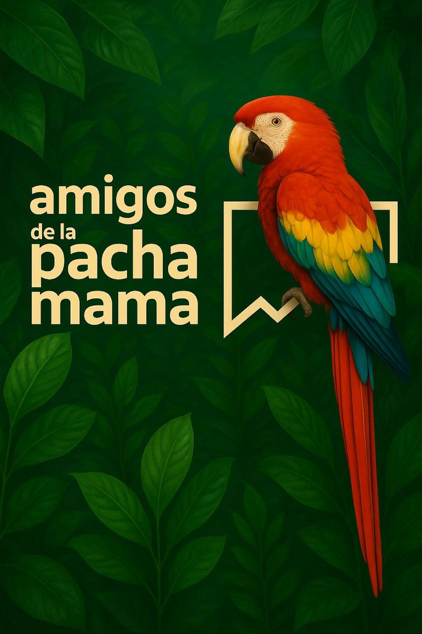 Logotipo colorido.jpg