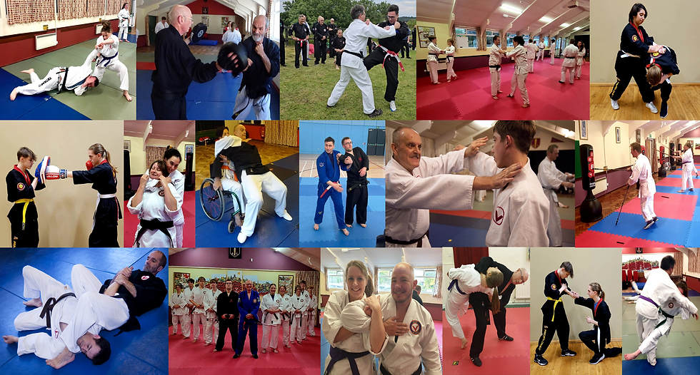 VALOR COMBAT SYSTEMS ADULT COLLAGE PNG.png