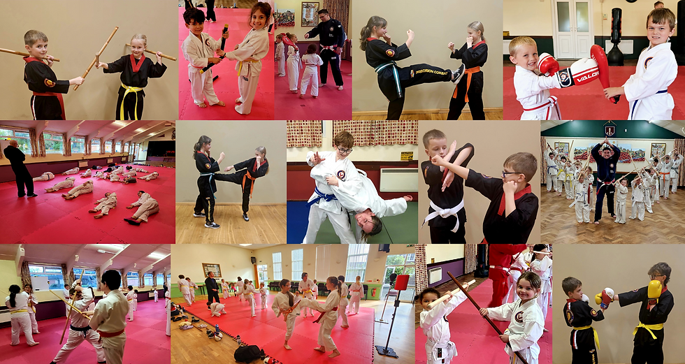 Valor Combat Systems Children's Collage