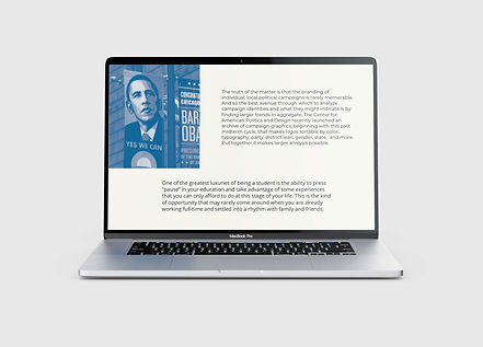 Designers in Politics Web Design