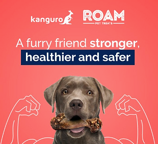 Captura de pantalla 2024-09-09 a la(s) 8.34.19 a. m..png