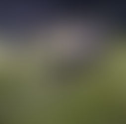 【イベント】リズムジャンプ教室開催報告🎵