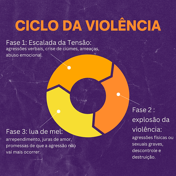 reportagem web (3).png