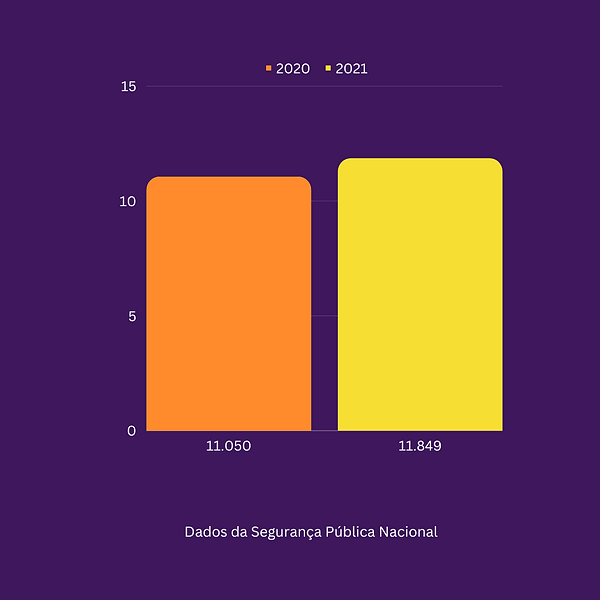 reportagem web (2).png