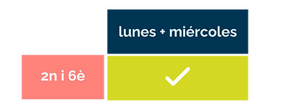 Tabla web - red bus (1).png