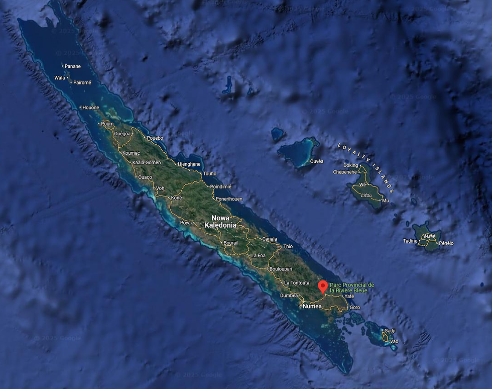 Mapa Nowej Kaledonii z zaznaczoną lokalizacją Blue River – miejsce ponownego odkrycia dzikiej populacji gekona orzęsionego (Correlophus ciliatus) w 1994 roku