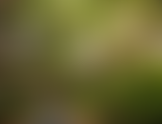 Droga wijąca się przez gęsty, tropikalny las deszczowy z Nowej Kaledonii, z efektownym baldachimem splecionych konarów drzew