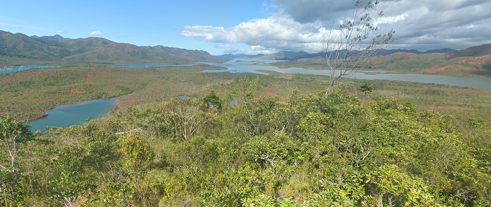 Panorama regionu Blue River w Nowej Kaledonii – naturalne środowisko życia gekona orzęsionego (Correlophus ciliatus), miejsce ponownego odkrycia gatunku