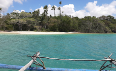 Widok z łodzi na turkusową wodę i tropikalną plażę w Nowej Kaledonii, z linią palm i drzew na tle nieba