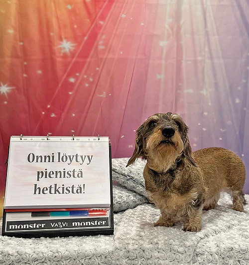 rt kuvaus noora aaltonen.jpg