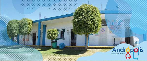 WhatsApp Image 2019-02-27 at 19.25.52.jp