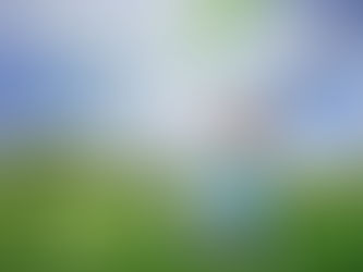 I am not in the mood