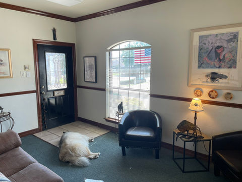 Practise | Windsong Therapy & Wellness