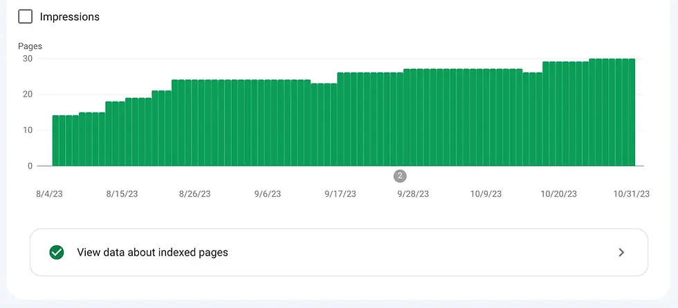 Indexed Pages - Google Search Console