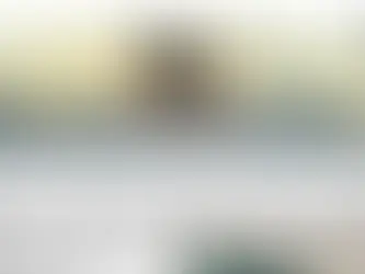 Complete Digital Package by Northwall Consulting: Enhancing Online Business Presence