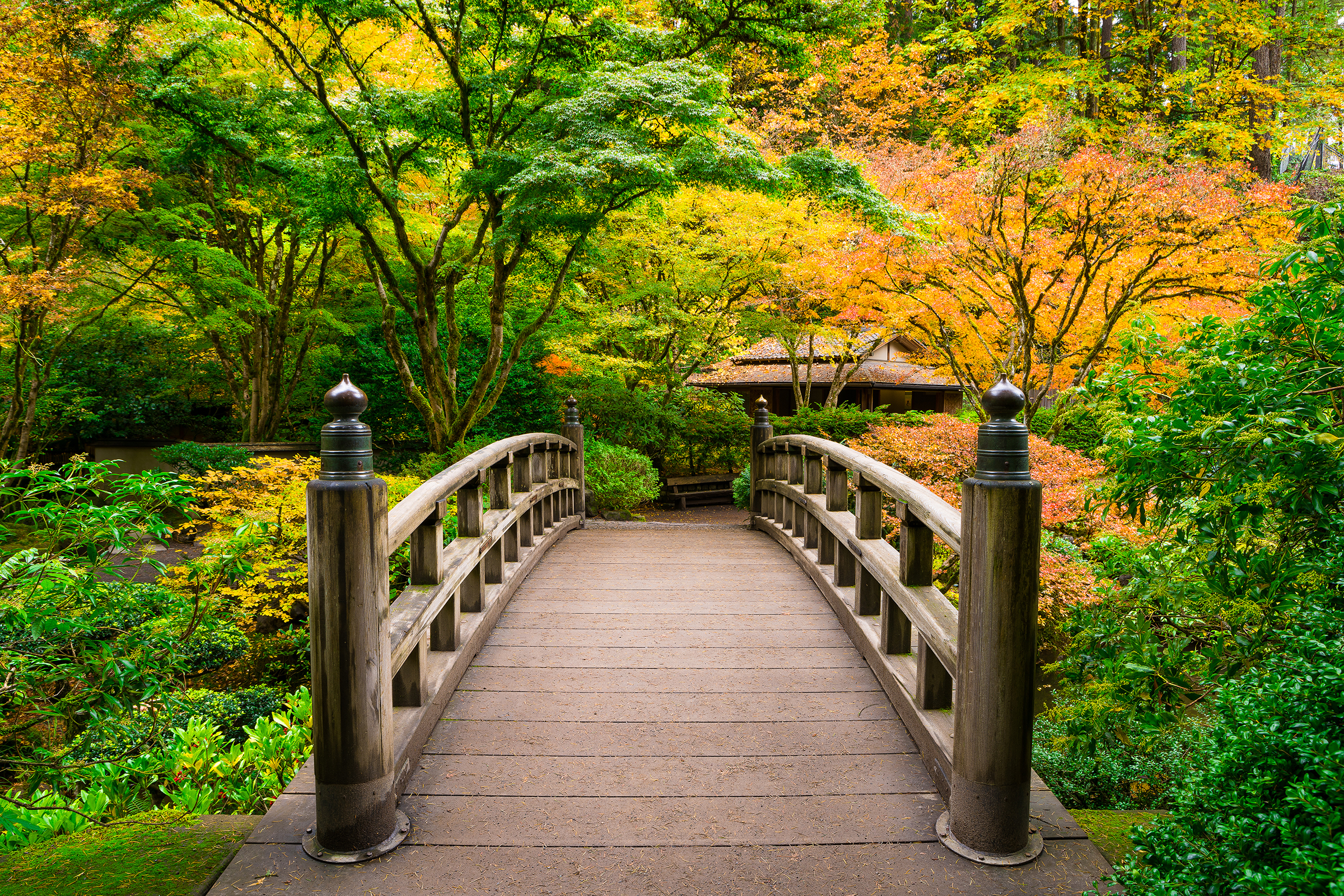 Fall Path