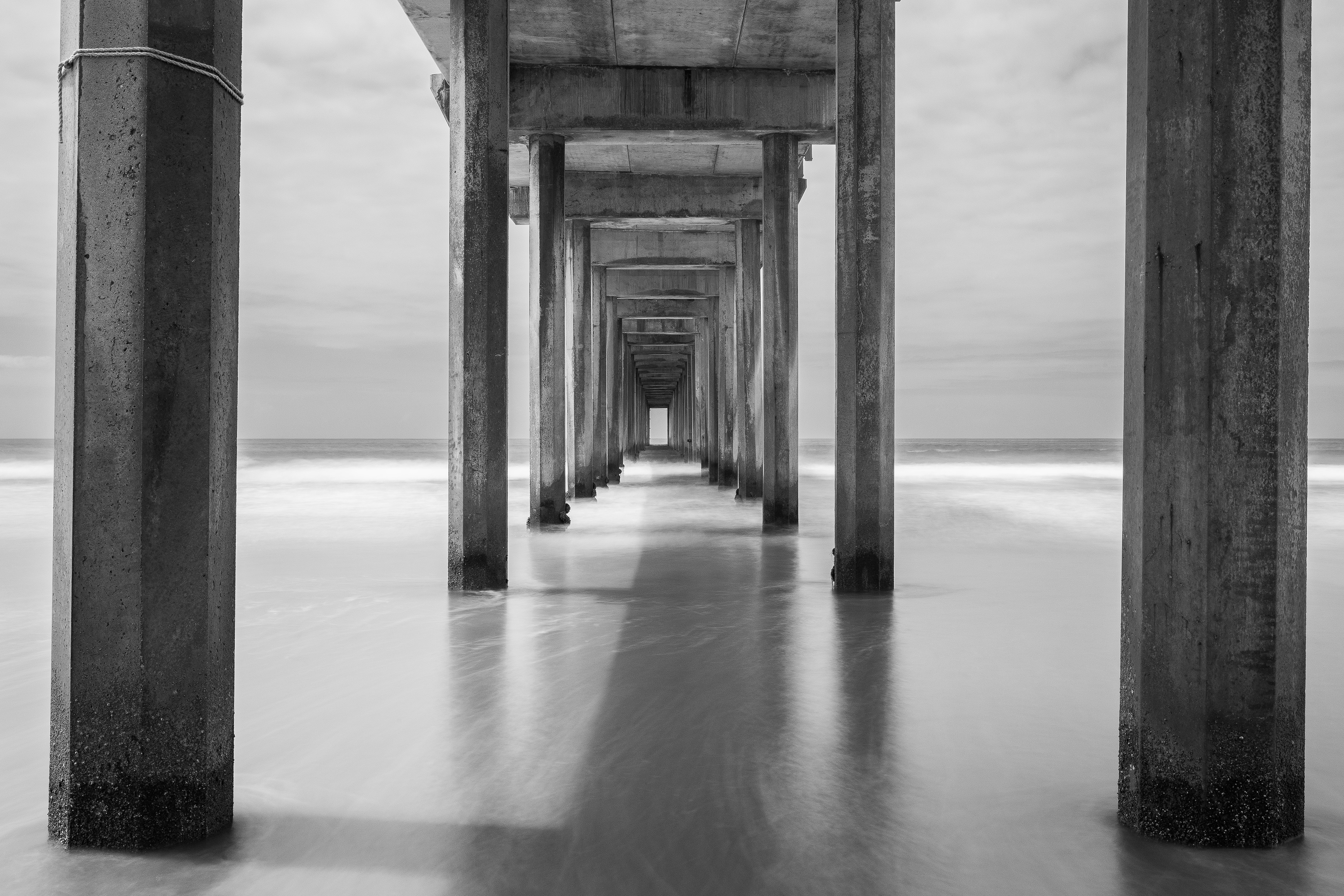 Scripps B&W