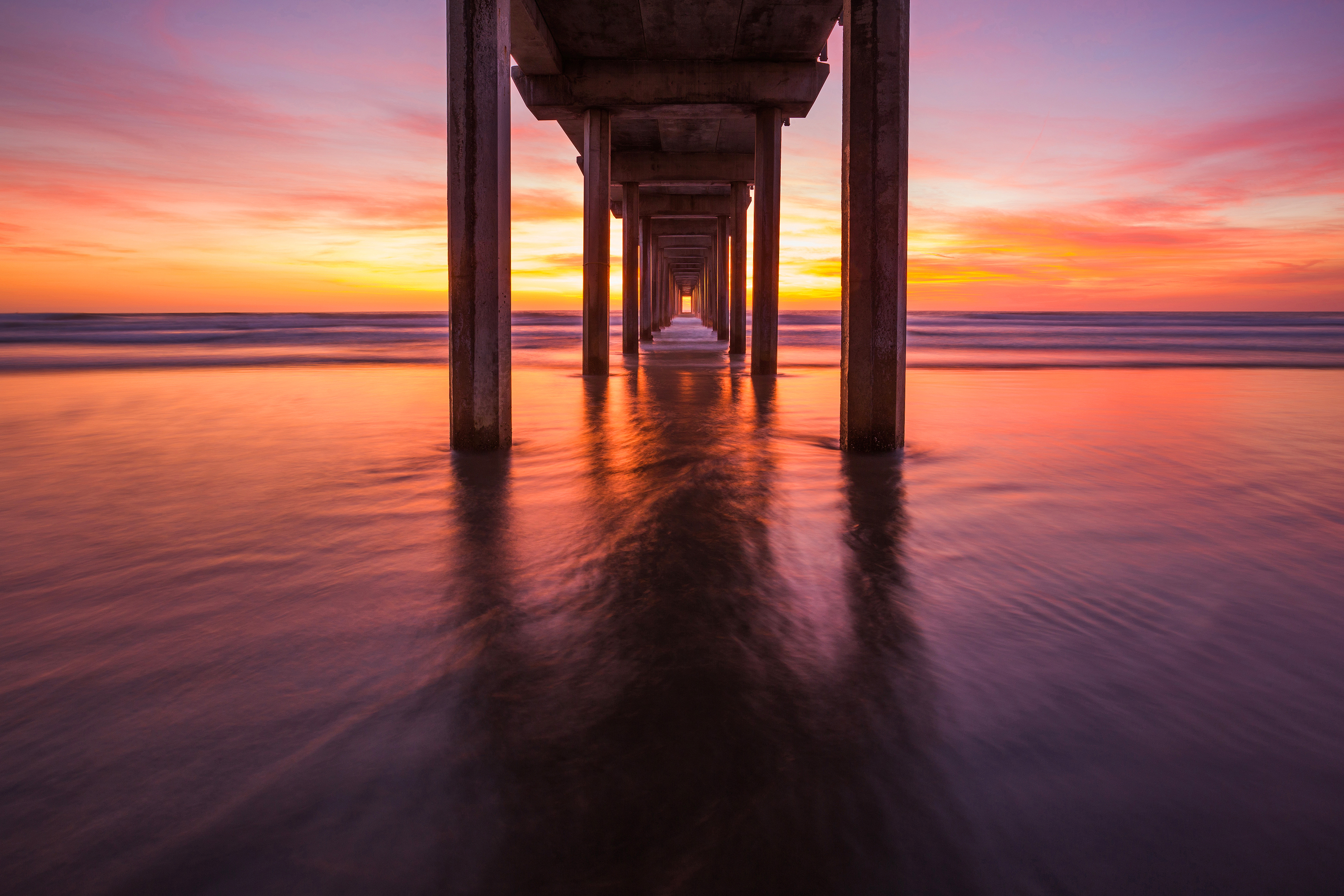 Scripps Purple