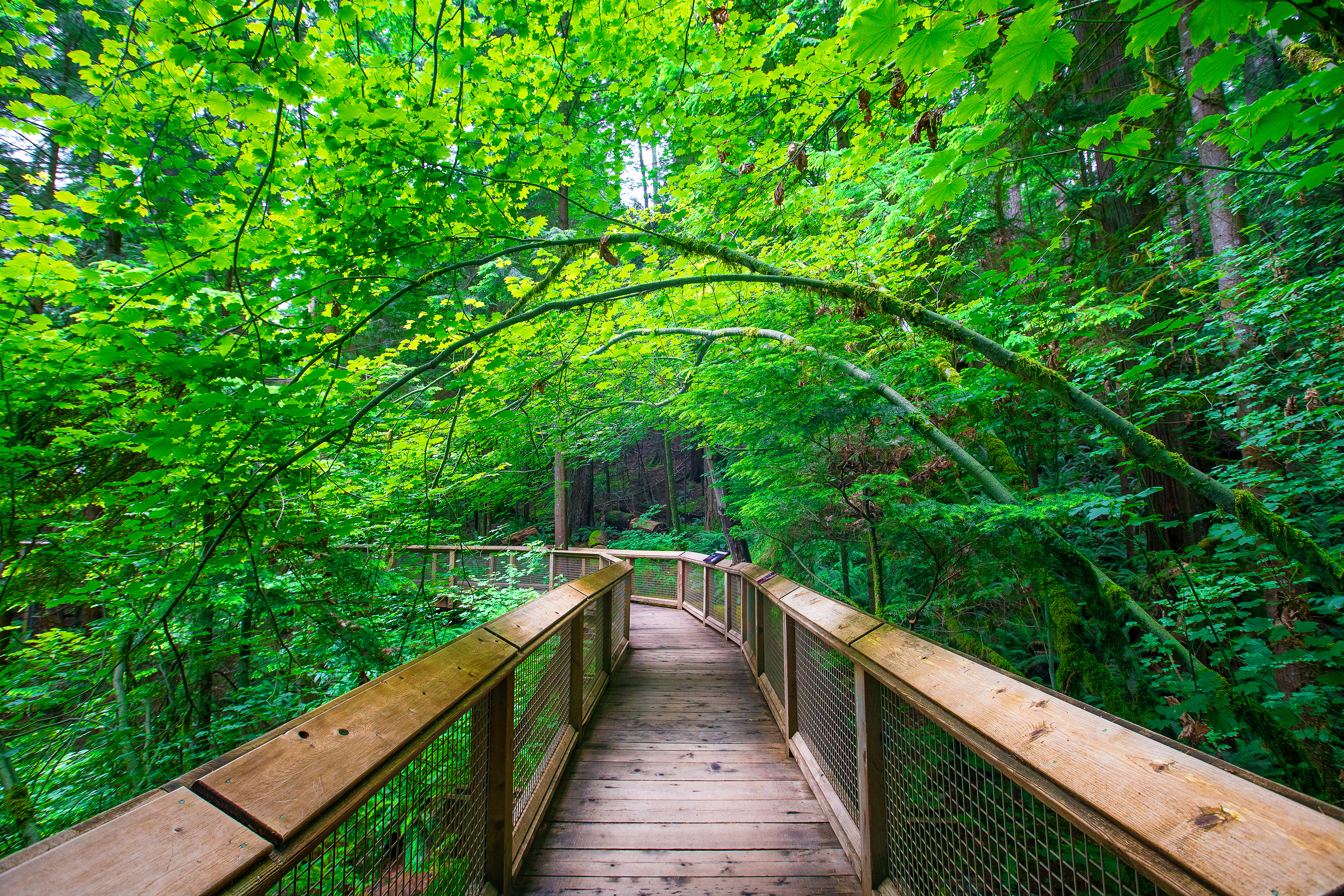 Vancouver Path