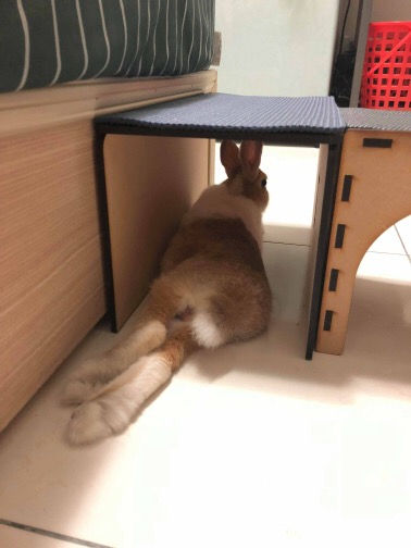 縮圖：長條隧道