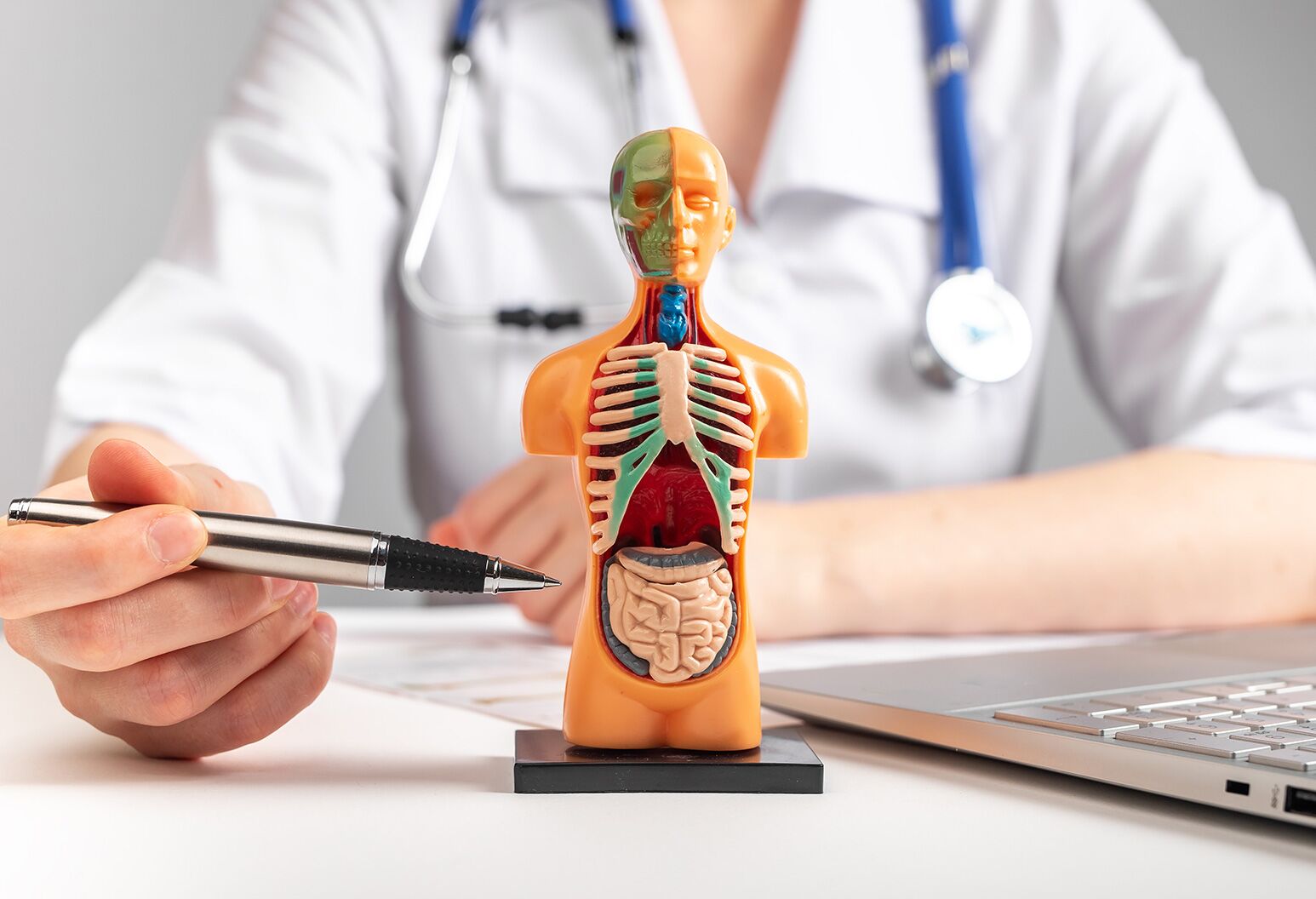 TheWell_internal-medicine_AS_499860795.jpg