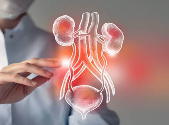 Urology-1.jpg