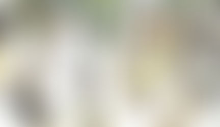 “Where the Wild Things Are”