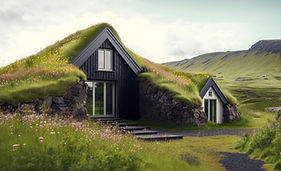 green roof sloped wild_edited.jpg