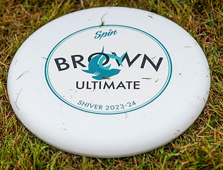 Disc.jpg
