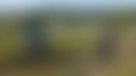 Testăm ce am visat!