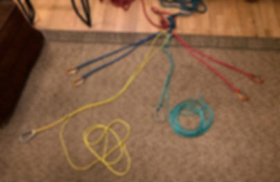 Litter Bridle Complex.jpg