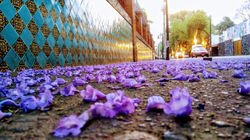 Fotografía Urbana 6
