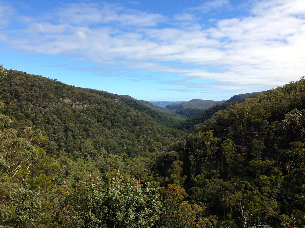 accommodation in Berrima- Nattai Gorge