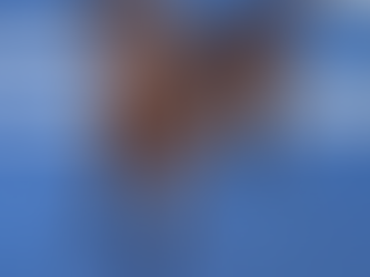 Life Lessons Gabe & Cota