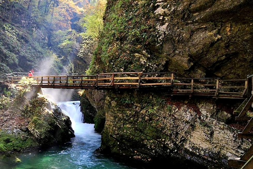 Wooden Bridge Over Stream