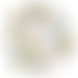 연구자의 테라리움, 작업대, 책상