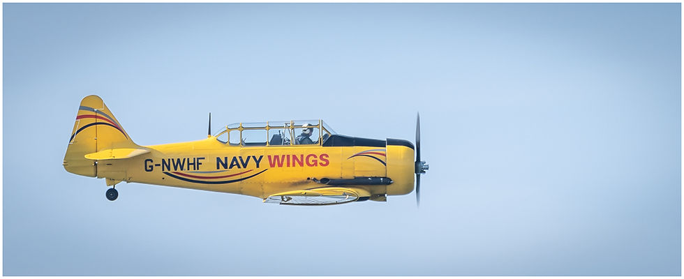 42 Navy Wings