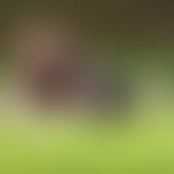 rugby player diving
