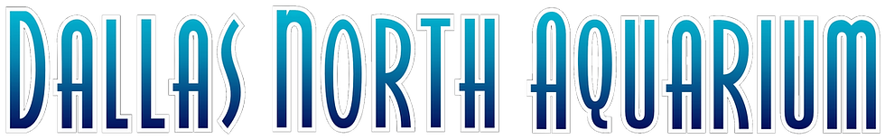 2Dallas North Aquarium gradient copy_edited.png