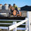 Thumbnail: Double Sided Hurdle