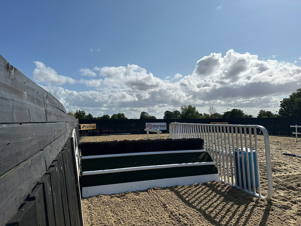 Thumbnail: Double Sided Hurdle