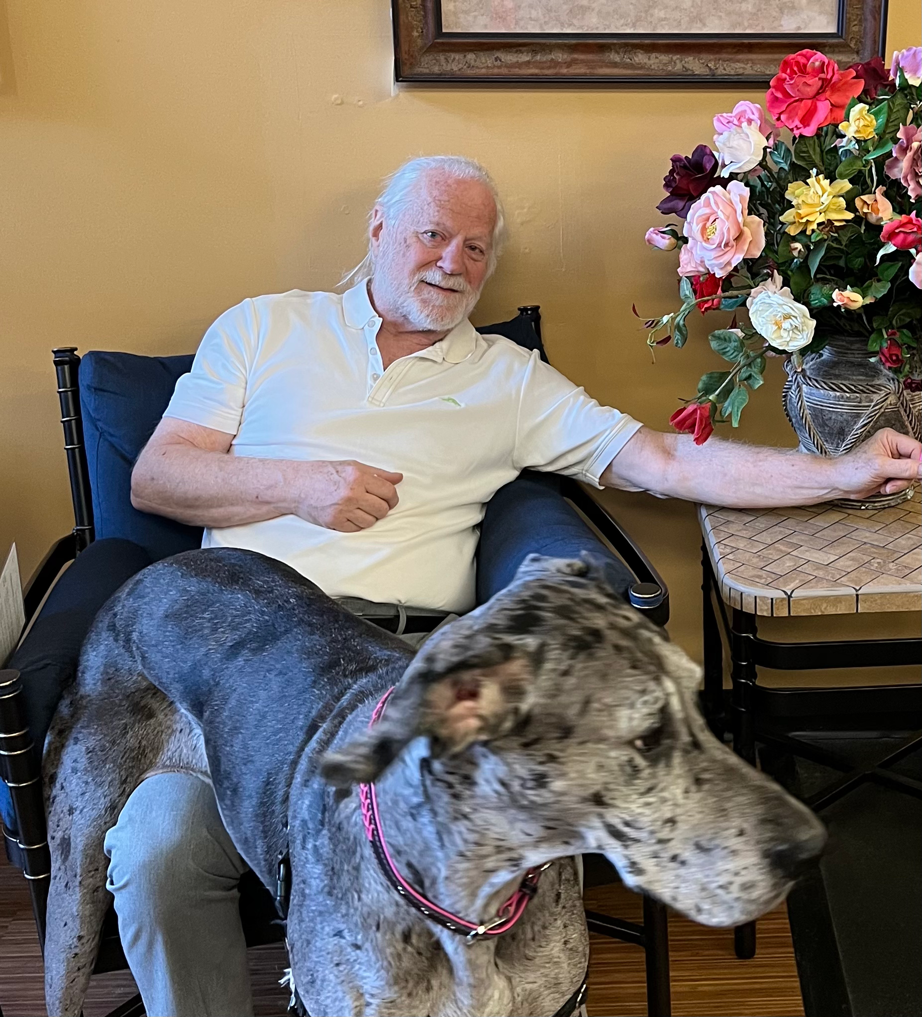 Writer: Bruce Halpern