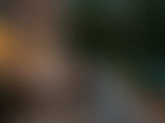 Transform Your Oasis: 7 Sophisticated Outdoor Lighting Ideas for Philadelphia & Jersey Shore Homes