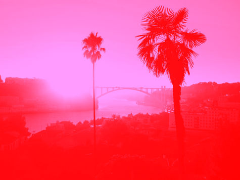 California Consumer Privacy Act (CPAA)