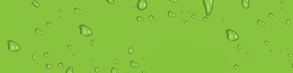 FEX BANNER.png