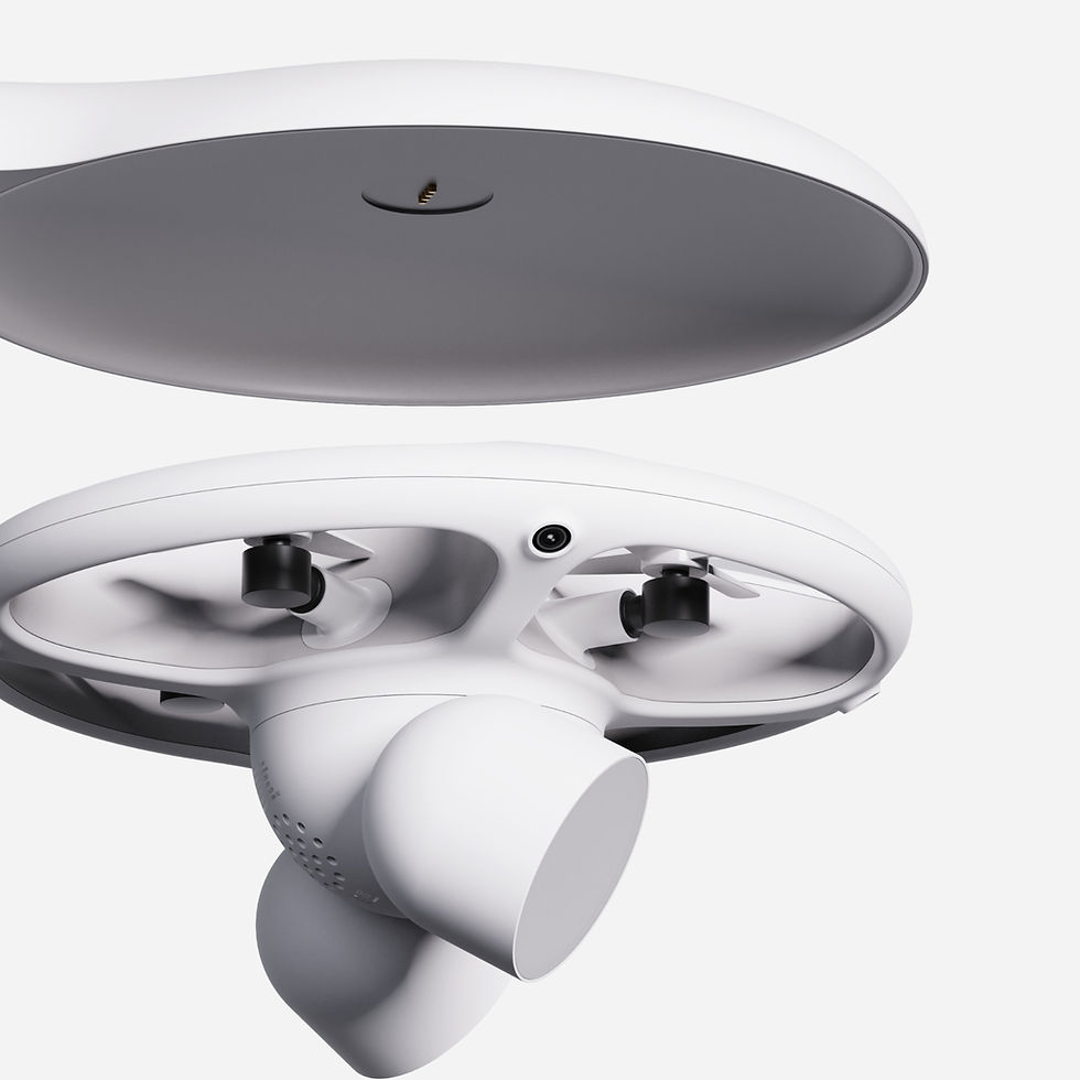 drone - deet 3_edited.jpg
